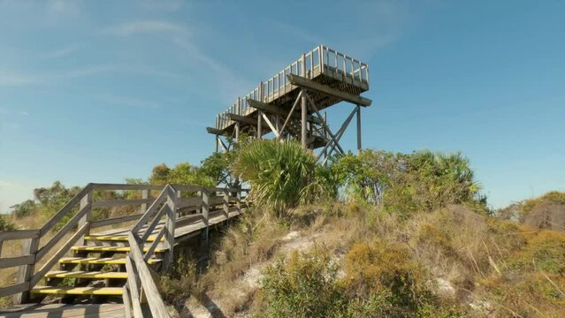 Panning up view of the Hobe Mountain observation tower, site of WWII army training facility at Jonathan Dickinson State Park in Florida.