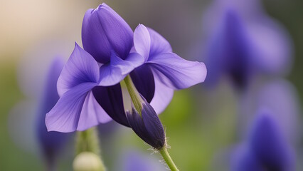 Photo of monkshood flower generative ai