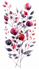 Summer, wild flowers, watercolor, illustration, hand drawn. Set of isolated elements of flowers, abstract art.