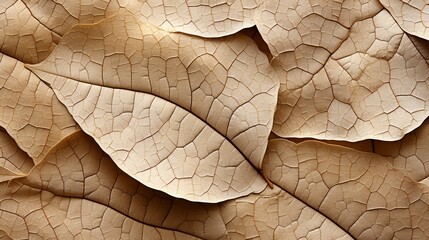 Close-up of dried leaves showcasing intricate textures and patterns, perfect for nature, autumn, and organic backgrounds.