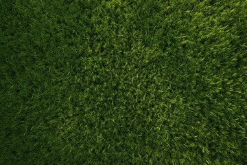 Grass green outdoors texture.