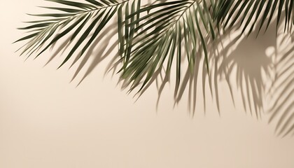 Blurred Shadow from Palm Leaves Cast on a Light Cream Wall, Creating a Beautiful Summer-Spring Background Perfect for Product Presentation with a Touch of Tranquility.

