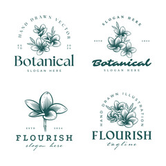 Set of Hand Drawn Frangipani or Plumeria Flower Logos, Floral Emblems Collection