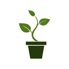 Flower and Pot PNG