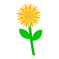 Flat style sunflower vector illustration