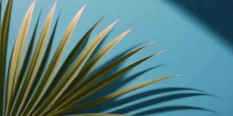 Obraz premium A Minimal Abstract Background for Product Presentation, Featuring Blurred Shadows from Palm Leaves Cast on a Blue Wall. Perfect for Evoking the Essence of Spring and Summer in Your Designs. 