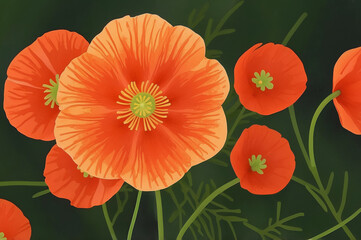Fototapeta premium Vibrant orange poppies stand out against a contrasting dark green background. The flowers, with their detailed petal structure and prominent stamens, evoke a sense of natural beauty and freshness.