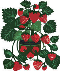 Strawberry Plant in Pink Pot