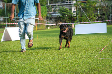 Man running with dog on a field in a dog show event.