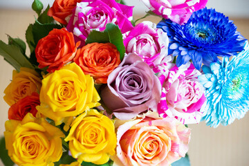 色とりどりのバラ