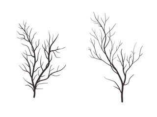 Set of dead tree vector illustration.  twig without leaves