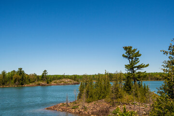 lake in the forest