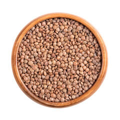 Chateau lentils in a wooden bowl. French specialty and a variety of light brown lentils. Dried fruits of Lens culinaris, an edible legume with lens-shaped seeds. Suitable for salads and as side dish.