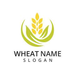 Wheat logo Concept for agriculture organic cereal products bread and bakery factory.