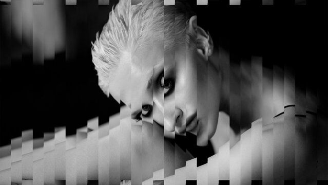 Shredder Transition 2 With Media Replacements