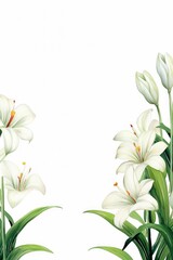 lily themed frame or border for photos and text. with elegant white petals and green stems. watercolor illustration, Perfect for nursery art, simple clipart, single object, white color background. 