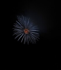 Fototapeta premium 打上げ花火