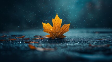  A yellow leaf lies on a dark blue ground, dripping with rainwater The ground is dotted with droplets - Powered by Adobe