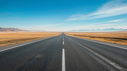 Fototapeta premium A long, straight road stretches into the horizon under a clear blue sky. The road is surrounded by a vast desert landscape.