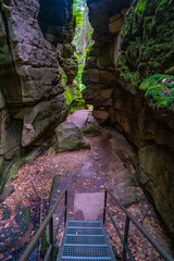 Sandstone rock caves with fern, moss, lichen, with metal stairs at the hiking trail Malerweg, Devil...