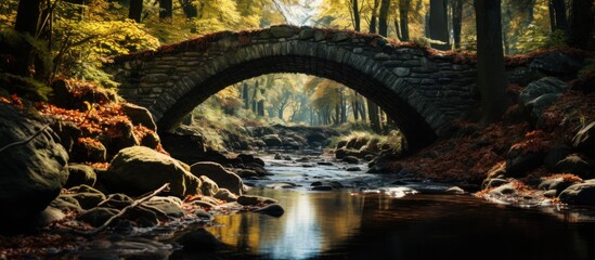 Old bridge over a stream in the autumn forest