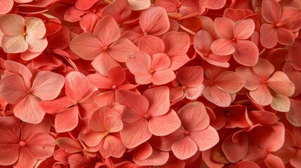 Obraz premium A central cluster of pink flowers amidst a sea of pink blooms in the photograph
