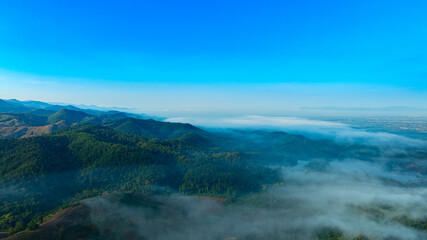 Aerial view of mountains and mixed forest. Green deciduous trees with mist clouds. The rich natural ecosystem of the rainforest concept is about conservation and natural reforestation.