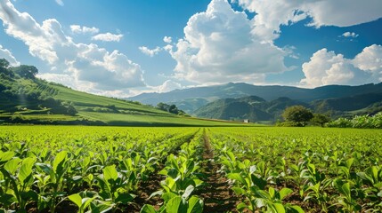 Plants in rural areas