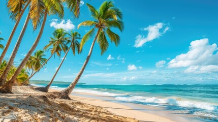 Panoramic beach scene with coconut palms and turquoise waters under a clear blue sky, perfect for vacation and relaxation themes.