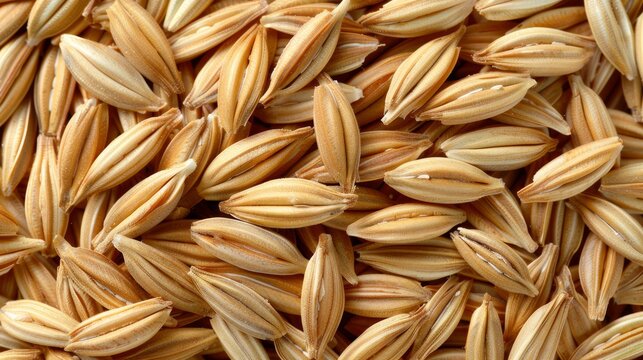  A close-up of several piles of oats (Repeated pile of oats reduced to several piles of oats for clarity and brev
