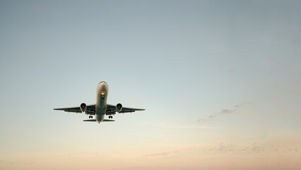 Landing passenger jet airplane in the morning.