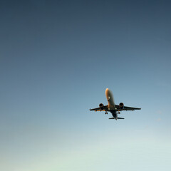 Landing passenger jet airplane in the morning.