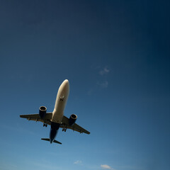 Landing passenger jet airplane at daytime.
