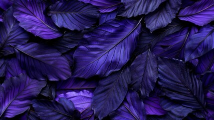  A bed of interconnected purple leaves, surrounding others in the same hue