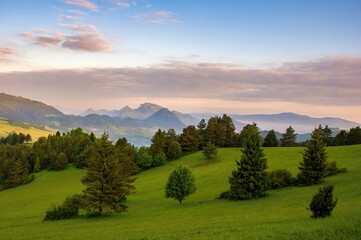 Obraz premium Mountain landscape with green meadows, hiking in spring nature. Mountain landscape in the Pieniny National Park at the foot of the Tatra Mountains. Border of Poland and Slovakia