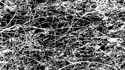 12-13. Hay texture effect - illustration. Hay black and white vector texture.