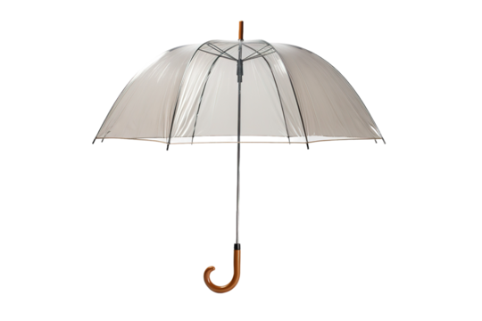 Rainy Day Elegance on White or PNG Transparent Background.