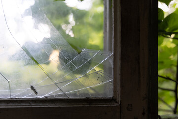 A beautiful closeup of a dirty window glass with bush leaves. Abandoned building in Latvia countryside.