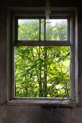 An old, broken window of a rural homestead in Latvia, Europe. Overgrown ruin of collapsed, abandoned house.