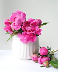 bouquet of pink peonies in a white vase