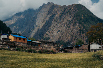 Old village and wheat farming on Manaslu Circuit Trek, Nepal