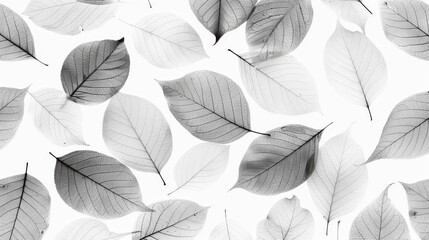 Obraz premium Two black and white images of leaves against a white background