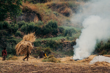 Traditional farming on Tsum Valley Trek, Nepal