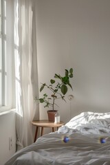 A minimalist bedroom with a neatly made bed, a small bedside table, and a potted plant. The natural light filtering through the window creates a serene and calming atmosphere.