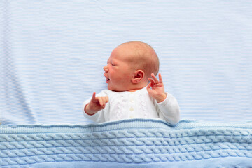 Newborn baby boy on a blue blanket