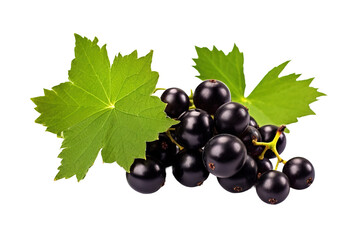 Fototapeta premium Midnight Symphony: A Gathering of Black Grapes and a Lone Green Leaf on White or PNG Transparent Background.