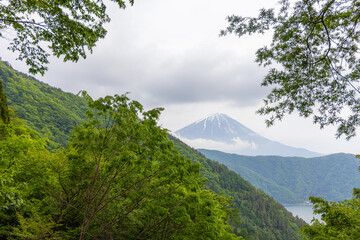 山の中腹から見た西湖と富士山