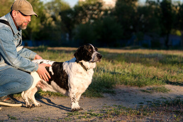 Man gently petting hound in sunny field.