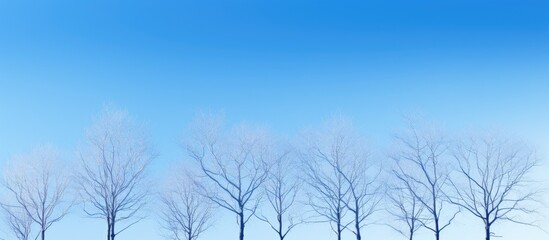 A copy space image of bare trees against a clear blue sky