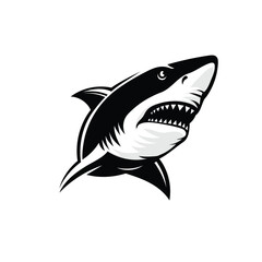 ferocious shark with fangs and open mouth vector